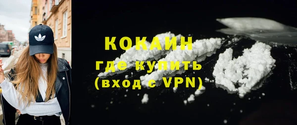 сатива Каменногорск