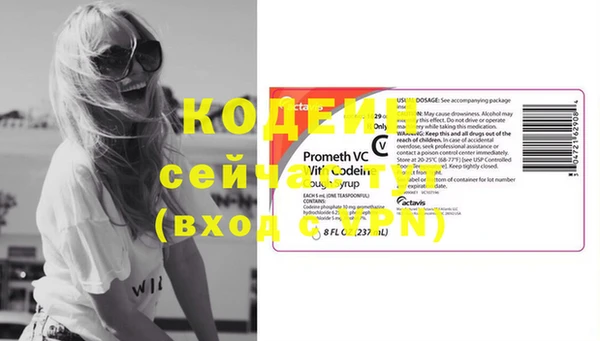 сатива Каменногорск