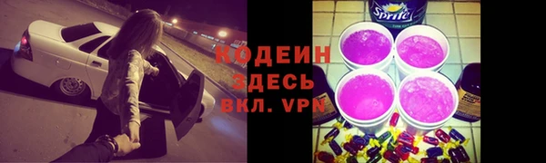 сатива Каменногорск