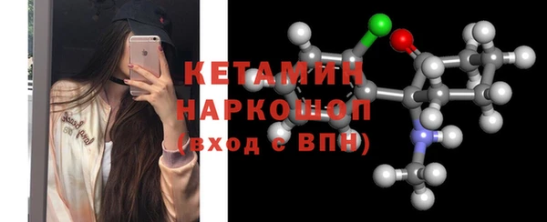 сатива Каменногорск