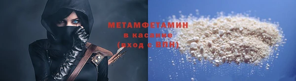 сатива Каменногорск