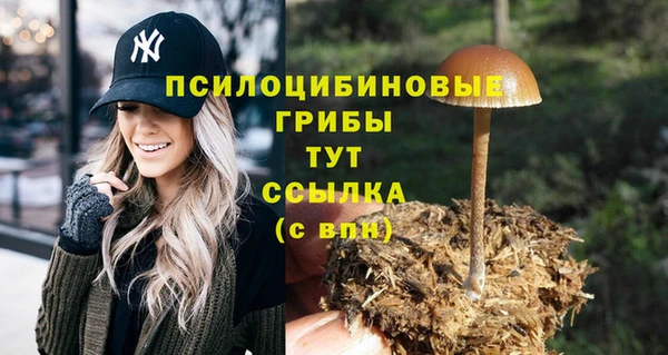 мескалин Каменск-Шахтинский