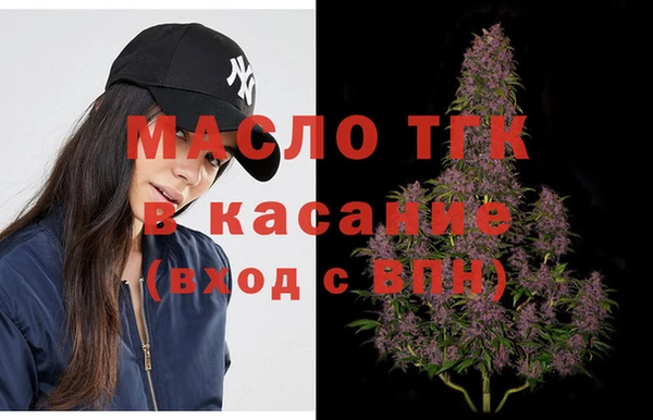 сатива Каменногорск