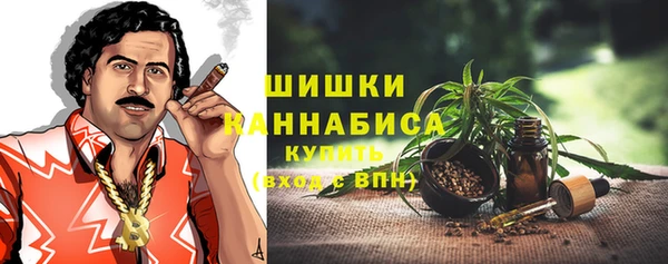 MESCALINE Каменка