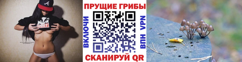 Галлюциногенные грибы прущие грибы  Купить где  Шахунья 