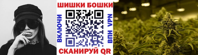 Купить  Шахунья  Бошки марихуана гибрид 